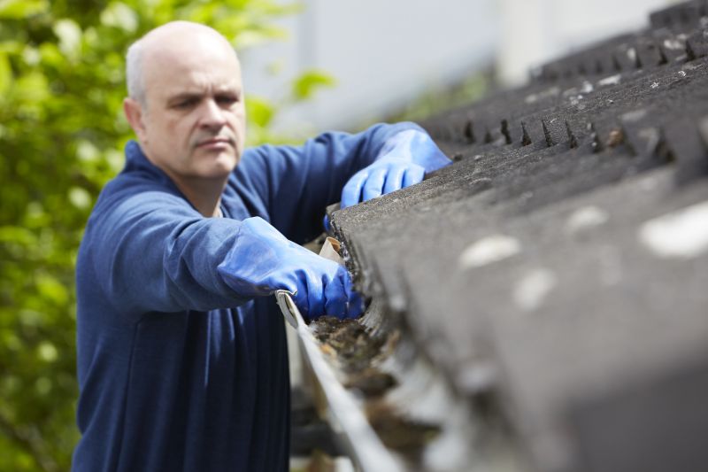 Residential Gutter Care