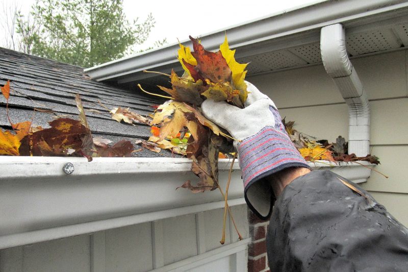 Gutter Inspection and Maintenance