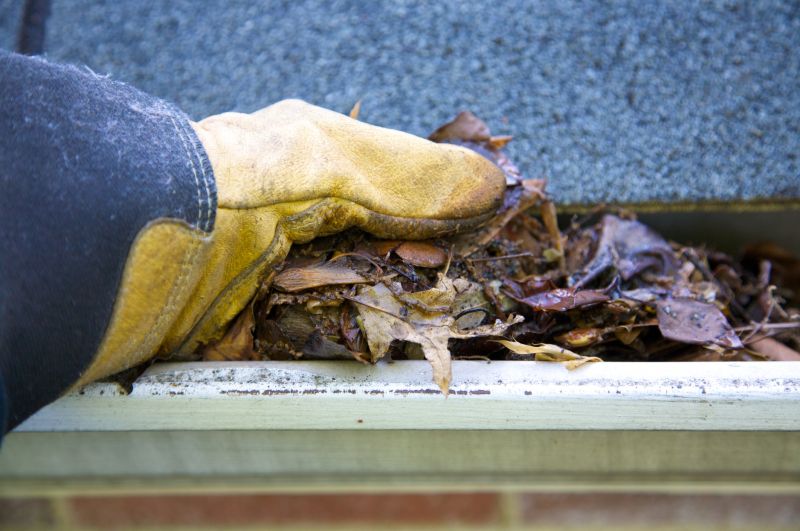 Gutter Cleaning Service